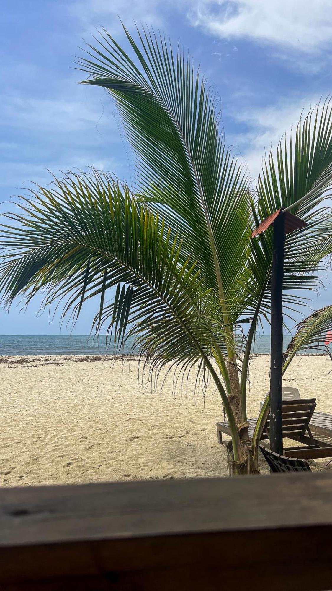 Hostal Mocambo Beach Гуачака Экстерьер фото